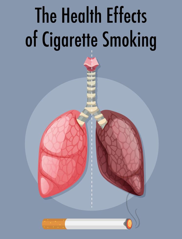 affiche sur les effets du tabagisme sur la santé vecteur
