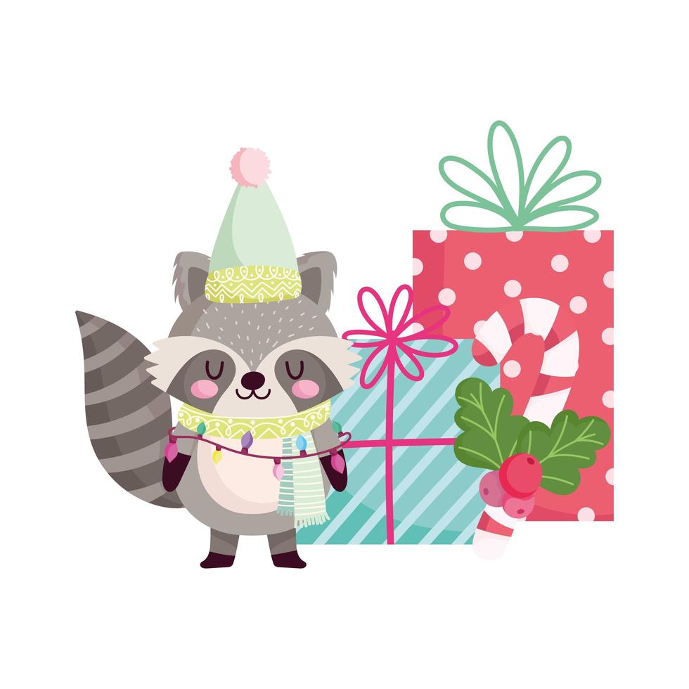 Joyeux Noël, raton laveur mignon avec des cadeaux et isolement d'icône de canne à sucre vecteur