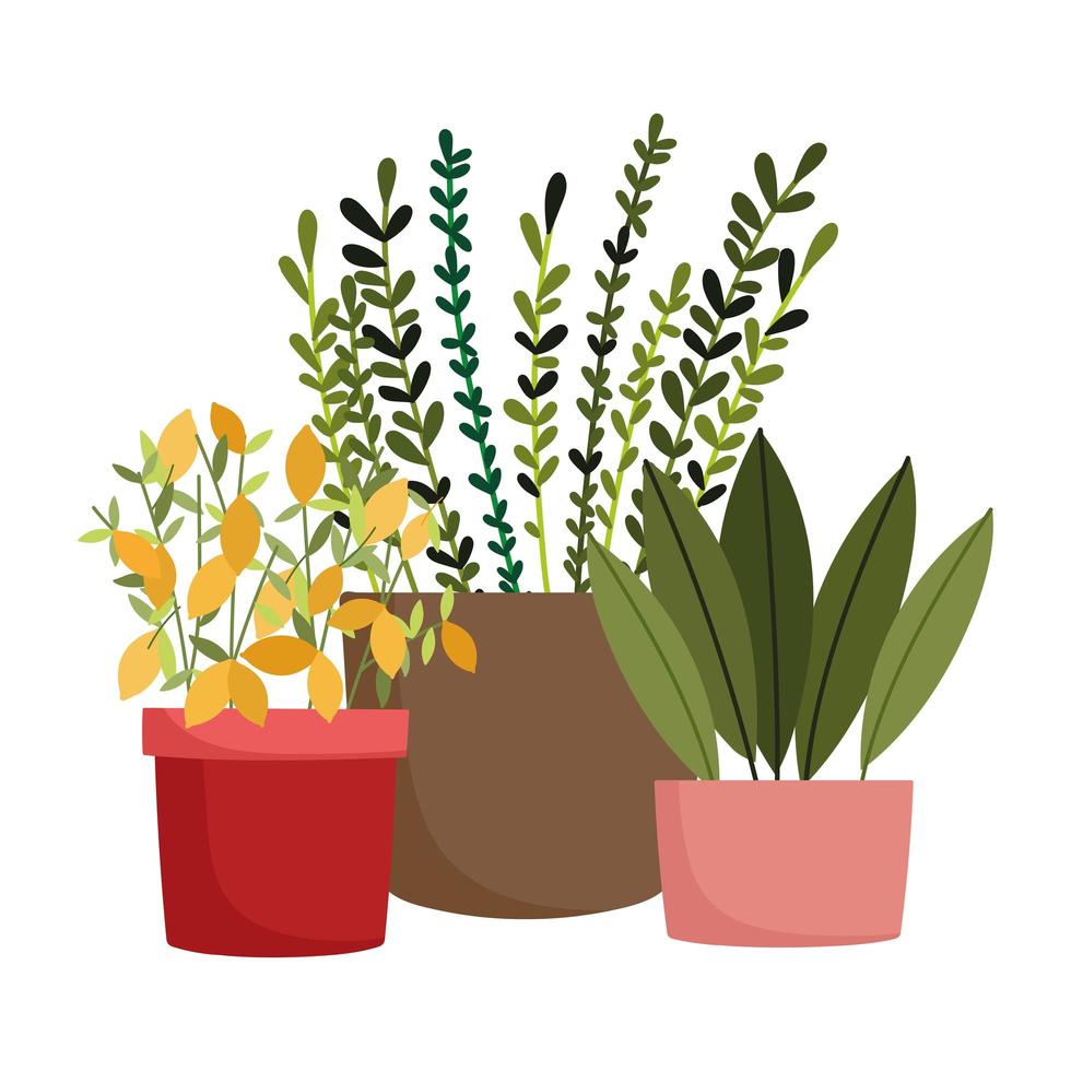 jardin heureux, plantes en pot fleurs décoration nature vecteur