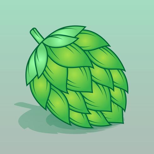 Houblon, plante, illustration, plante vecteur