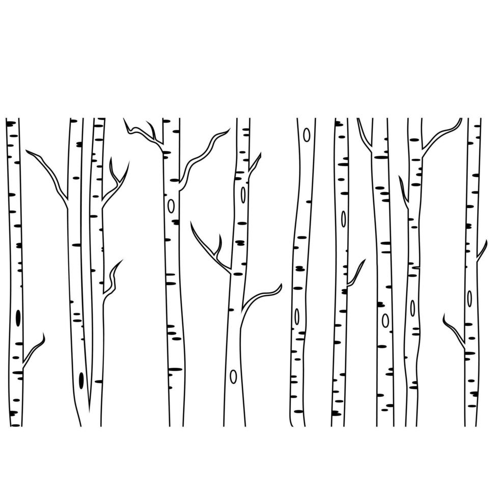 vecteur d'icône de bouleau. signe d'illustration de la forêt. symbole ou logo des arbres.