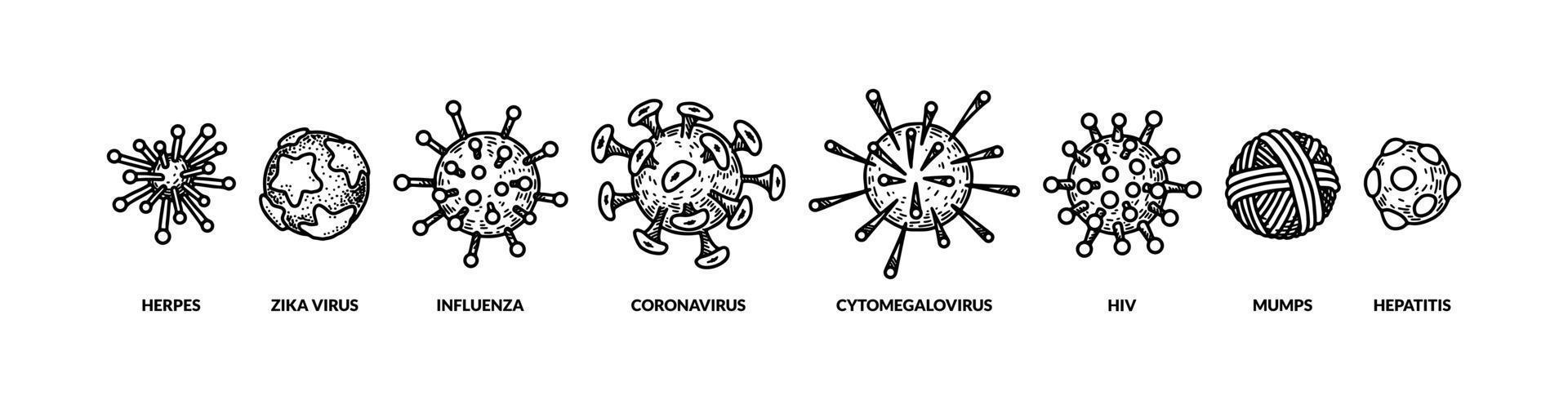 webset de différents types de virus dessinés à la main. illustration vectorielle dans le style de croquis. dessin scientifique réaliste vecteur