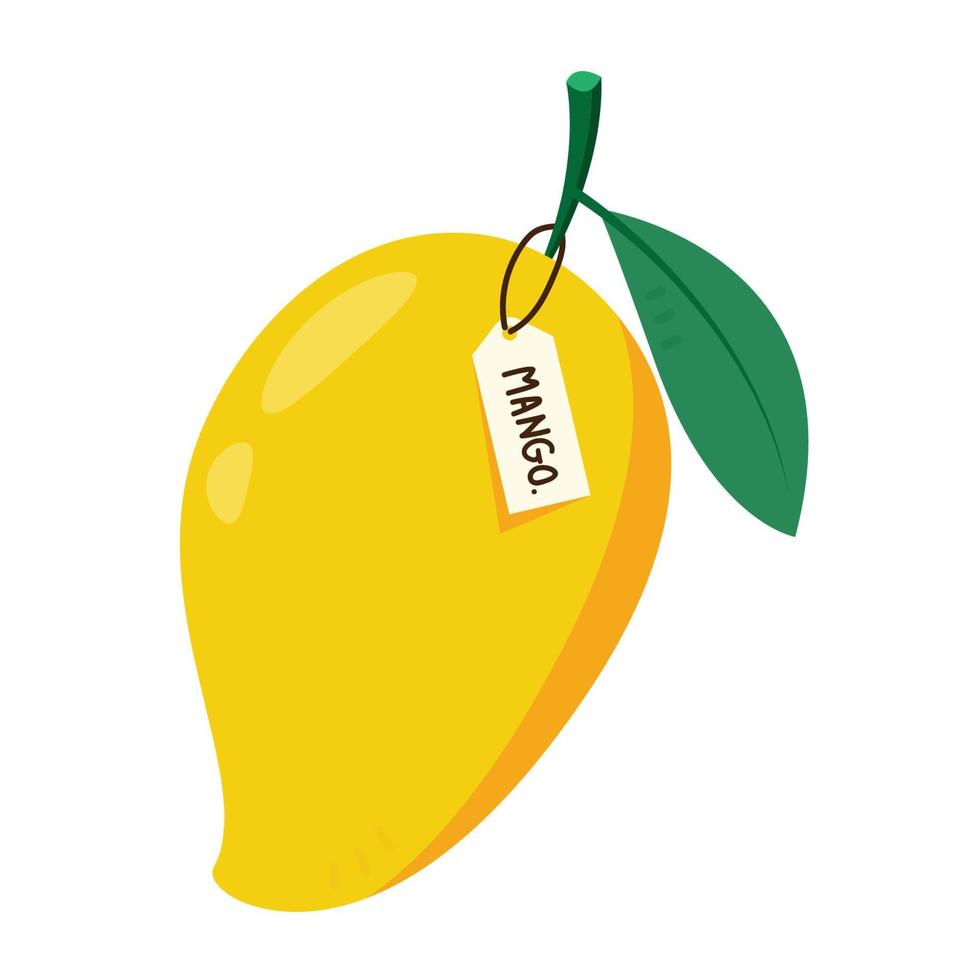 vecteur de mangue. mangue sur fond blanc. création de logos. vecteur de dessin animé de mangue.