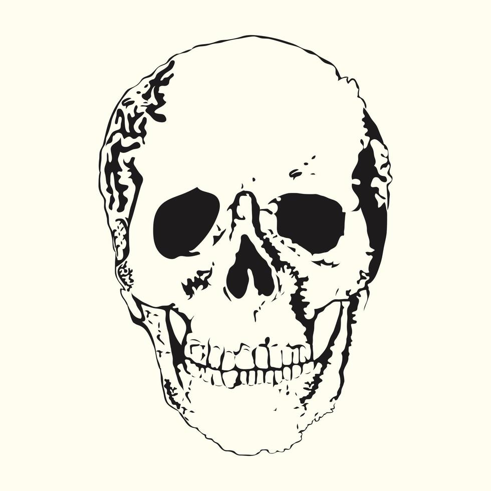 crâne de style vintage. illustration vectorielle. vecteur