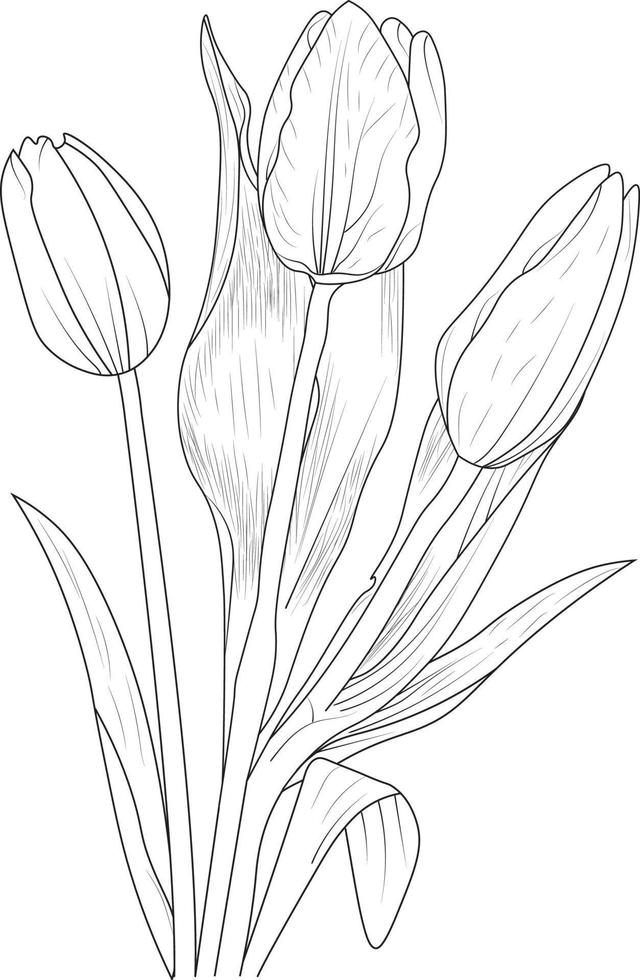 image vectorielle de fleur de tulipe, collection d'éléments d'été, pages de coloriage de fleur rose trèfle peintes à la main, croquis vectoriel, art au crayon, eustoma de conception florale vintage avec livre de coloriage pour adultes. vecteur