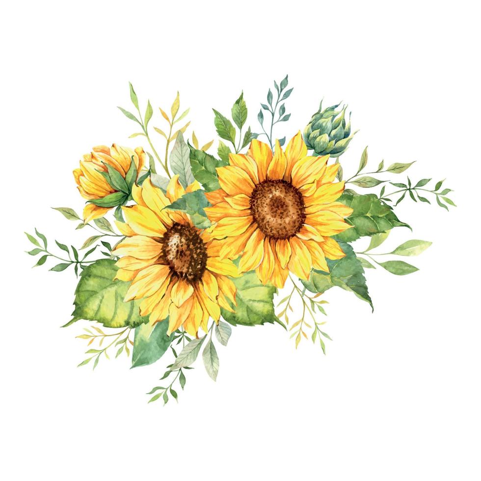 bouquet de tournesols à l'aquarelle, bouquets de tournesol peints à la main avec verdure, arrangement de fleurs de tournesol. éléments de clipart d'invitation de mariage. aquarelle florale. dessin botanique. fond blanc. vecteur