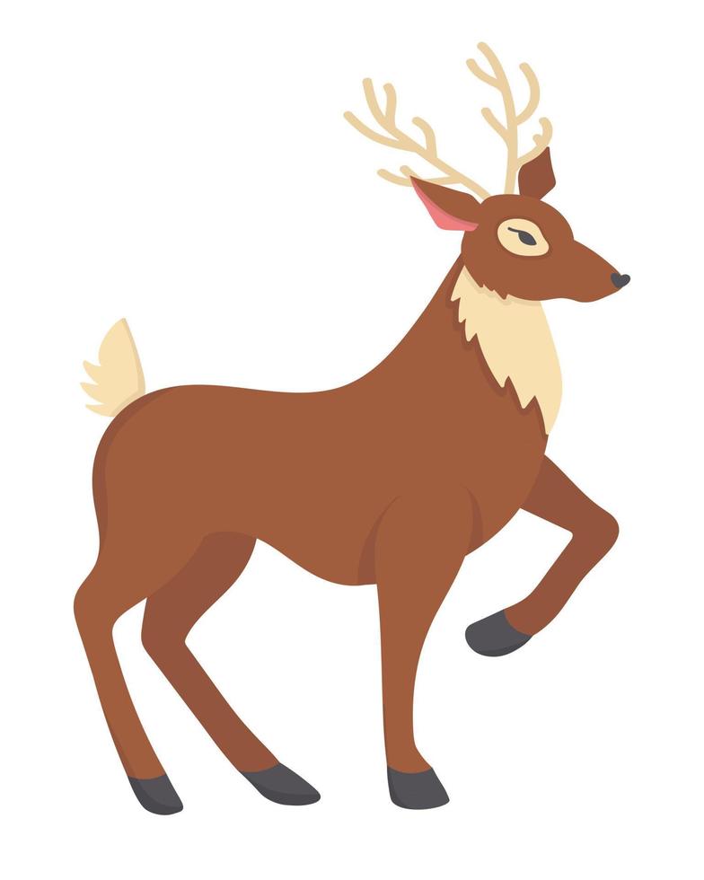 doodle clipart plat. cerf de forêt gracieux. tous les objets sont repeints. vecteur