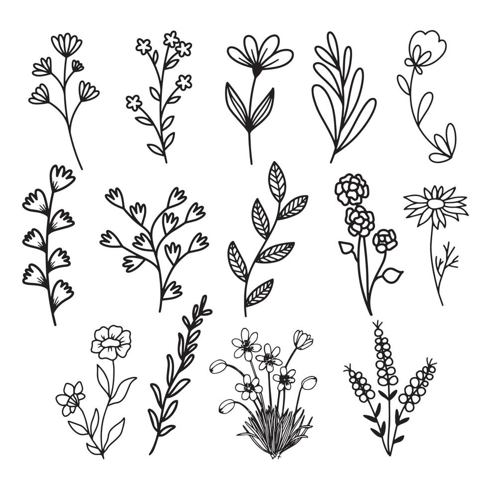 ensemble d'images vectorielles de différents bouquets de fleurs à partir de feuilles, branches illustration d'esquisse vectorielle parfaite pour la décoration des invitations de mariage cartes de voeux conception de textures de tissu vecteur