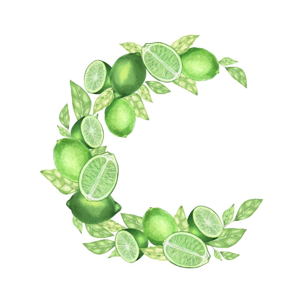 cadre rond aquarelle composé de citrons verts, tranche de citron vert, branches et feuilles. vignette dessinée à la main pour les cartes, les invitations, les cosmétiques ou le concept de conception d'étiquettes alimentaires, avec espace de texte vecteur