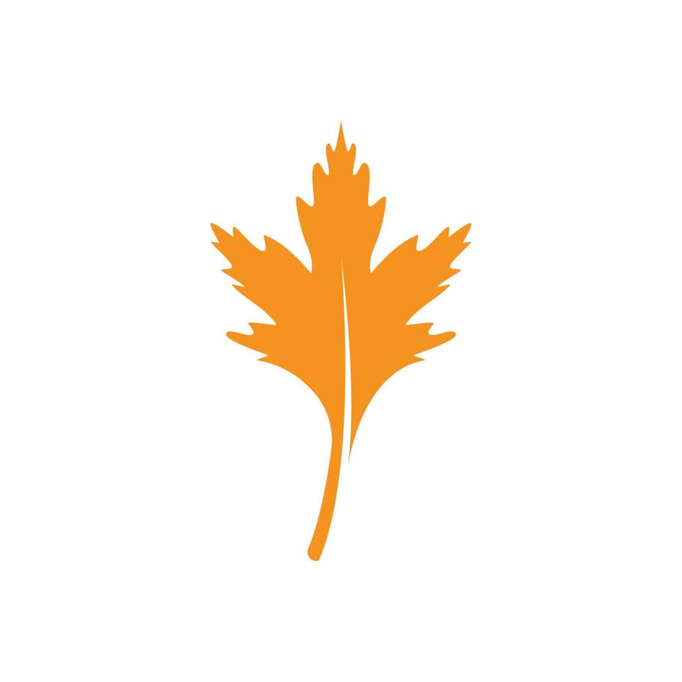 logo de feuille de chêne vecteur