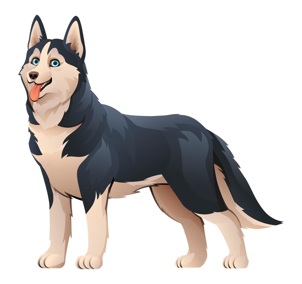 illustration de dessin animé vecteur chien husky sibérien