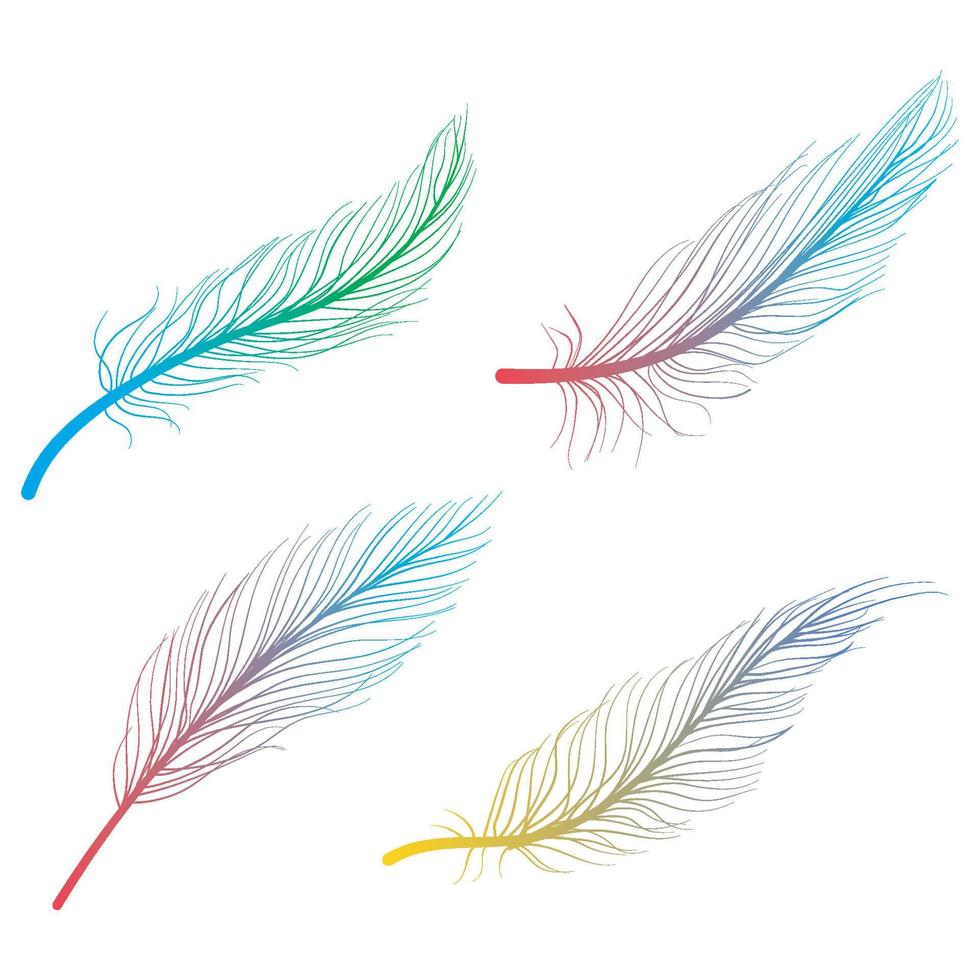 plumes d'oiseaux dessinés à la main vecteur d'art doodle linéaire