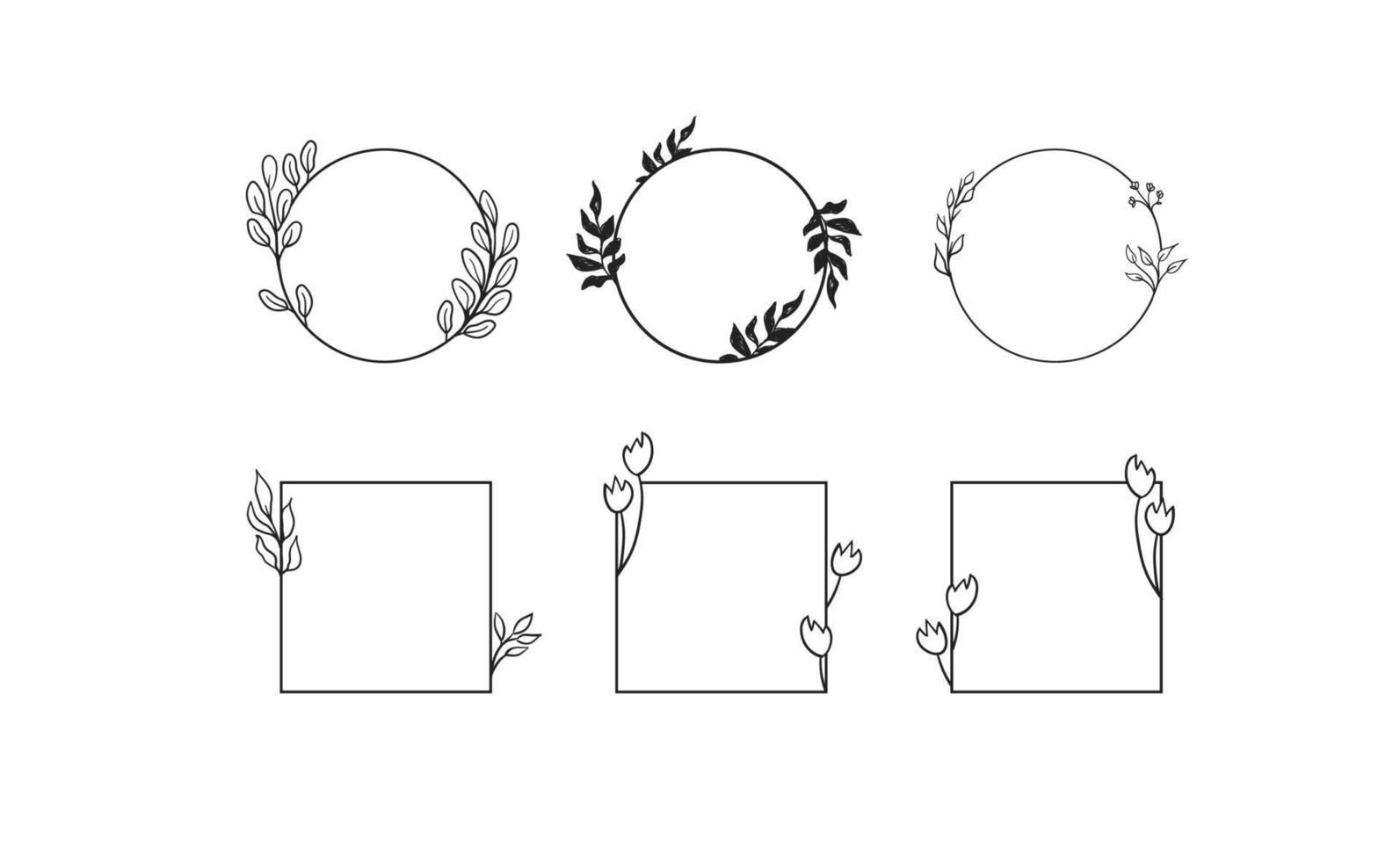 cadre vectoriel décoratif floral. cercle et cadre en forme de carré. ornements élégants.