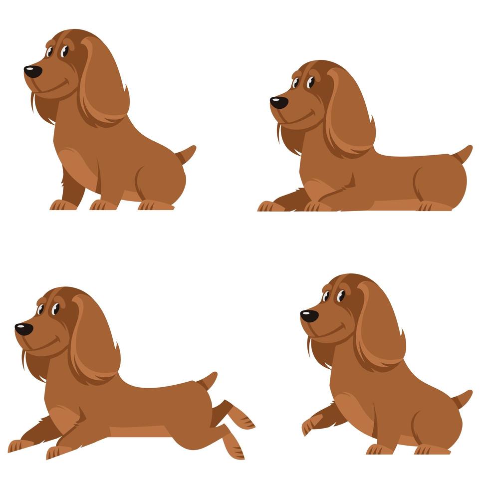 cocker spaniel dans différentes poses. vecteur