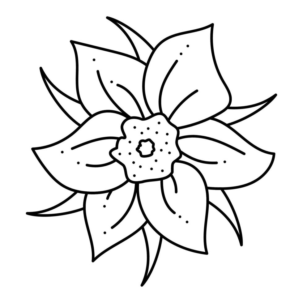 herbe de rêve, doodle de fleur de lumbago. illustration vectorielle de contour dessiné à la main. vecteur