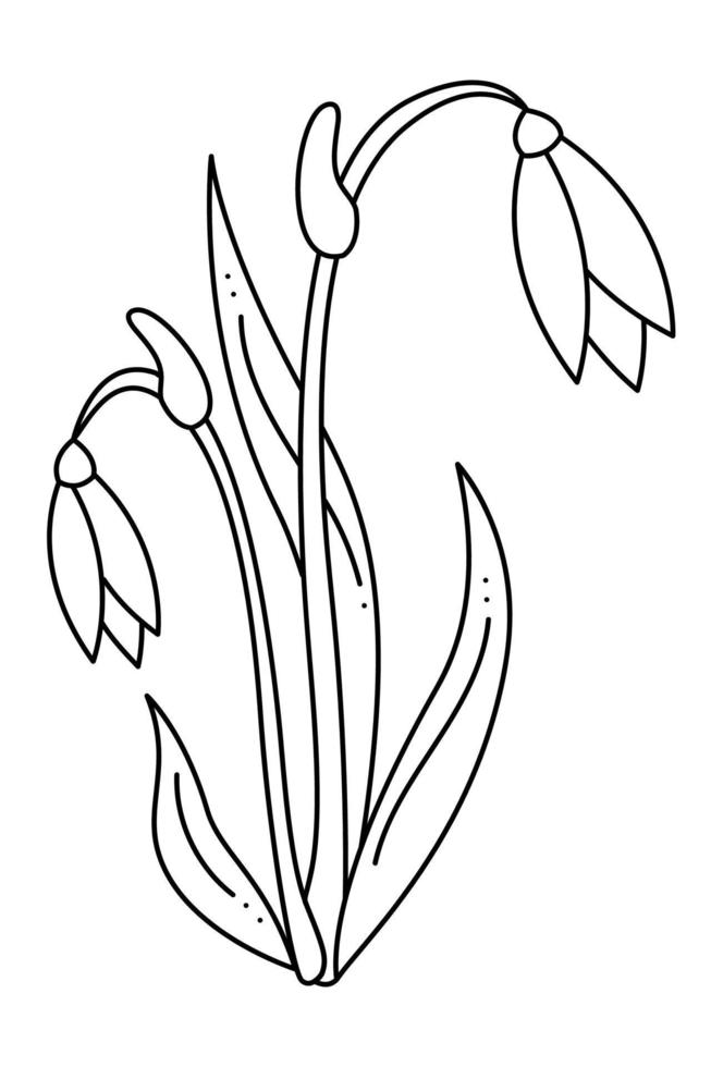 doodle de perce-neige deuxième. illustration vectorielle de contour dessiné à la main. vecteur