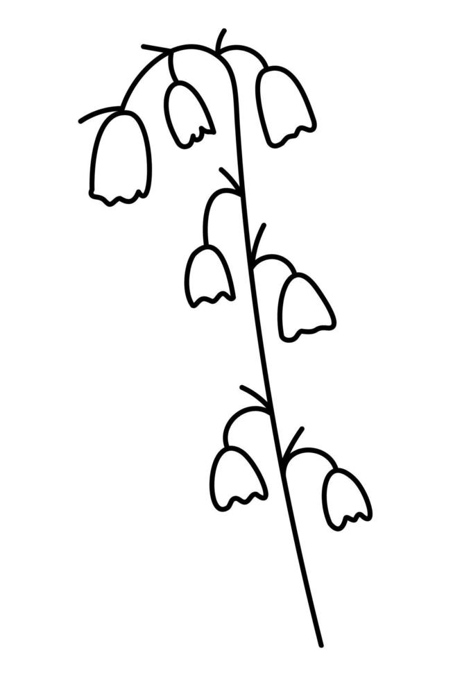 doodle de fleurs de muguet. illustration vectorielle de contour dessiné à la main. vecteur