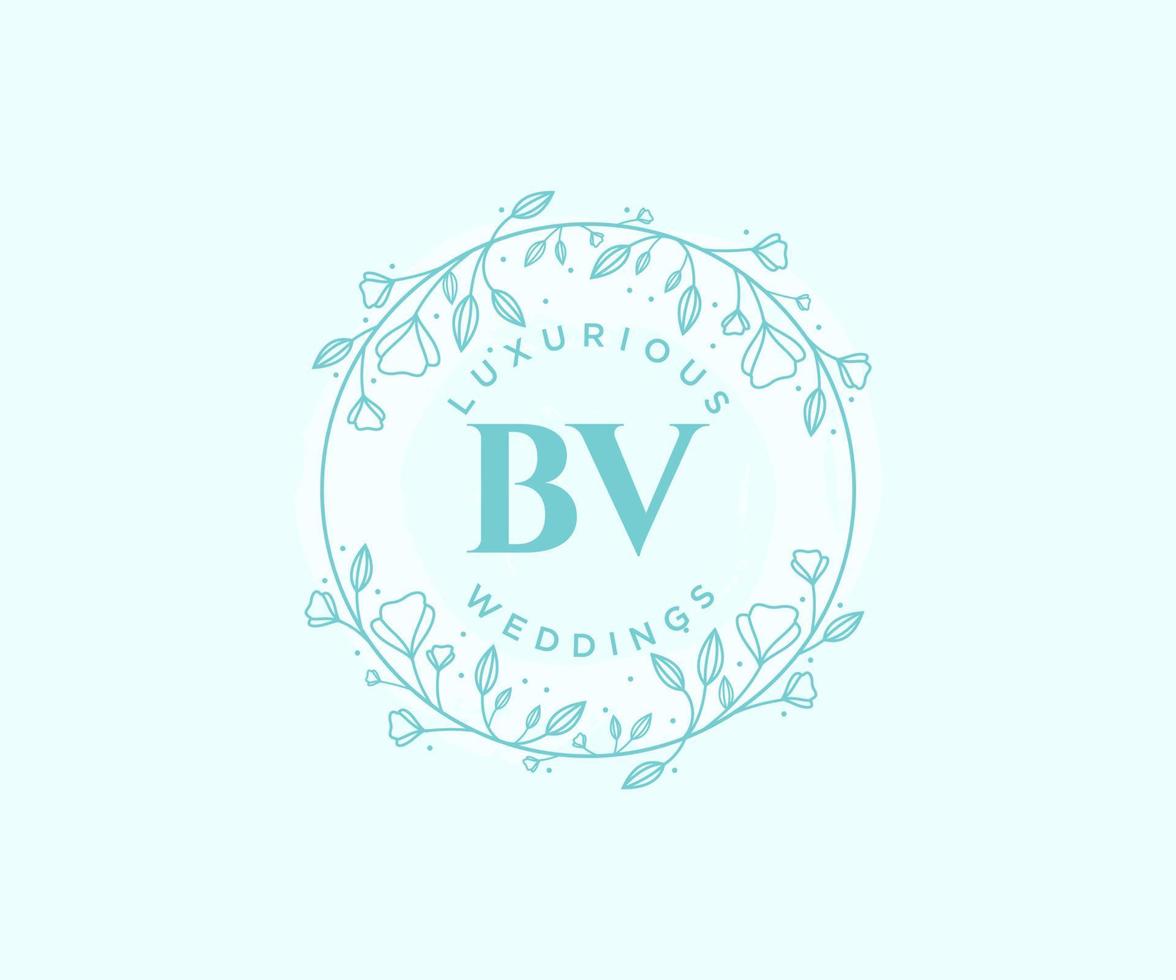 bv initiales lettre modèle de logos de monogramme de mariage, modèles minimalistes et floraux modernes dessinés à la main pour cartes d'invitation, réservez la date, identité élégante. vecteur