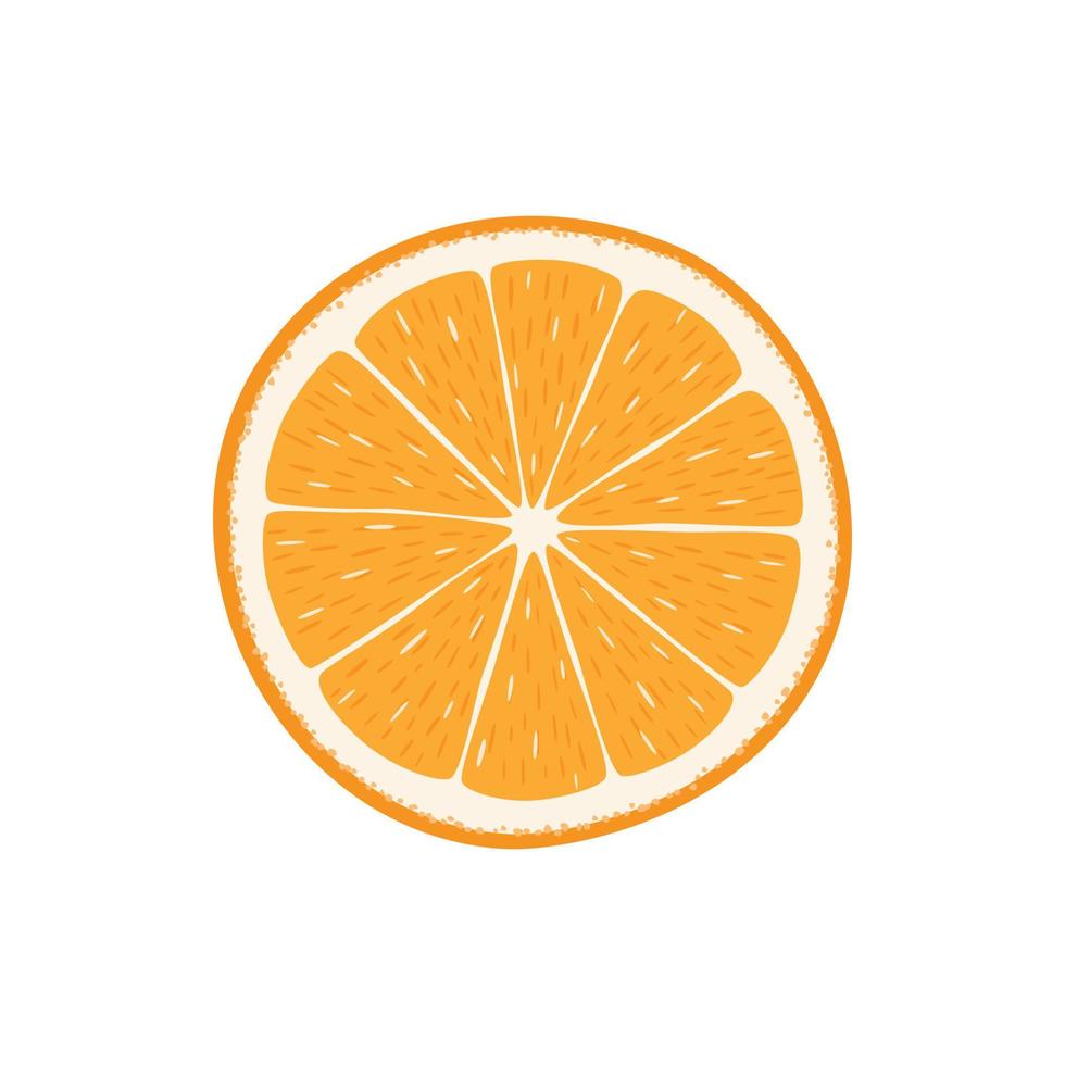 illustration de fruits orange vecteur