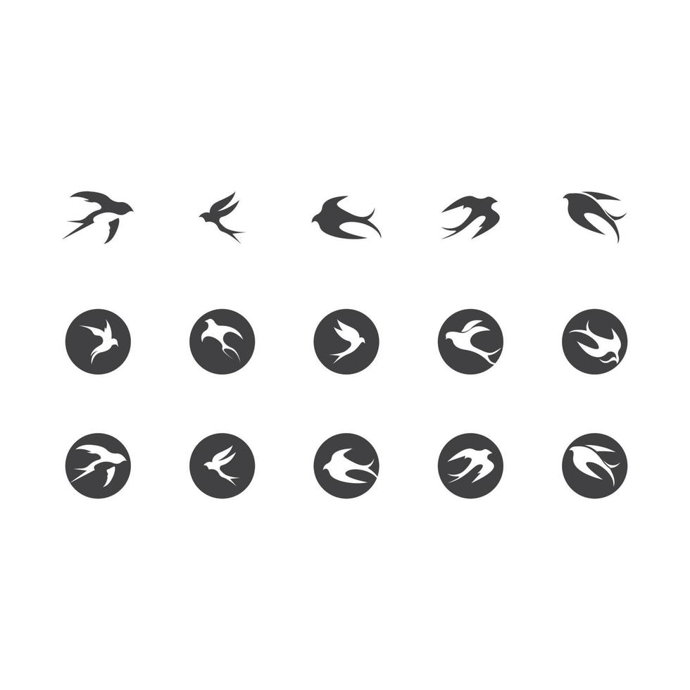 hirondelle logo icône design image vectorielle vecteur