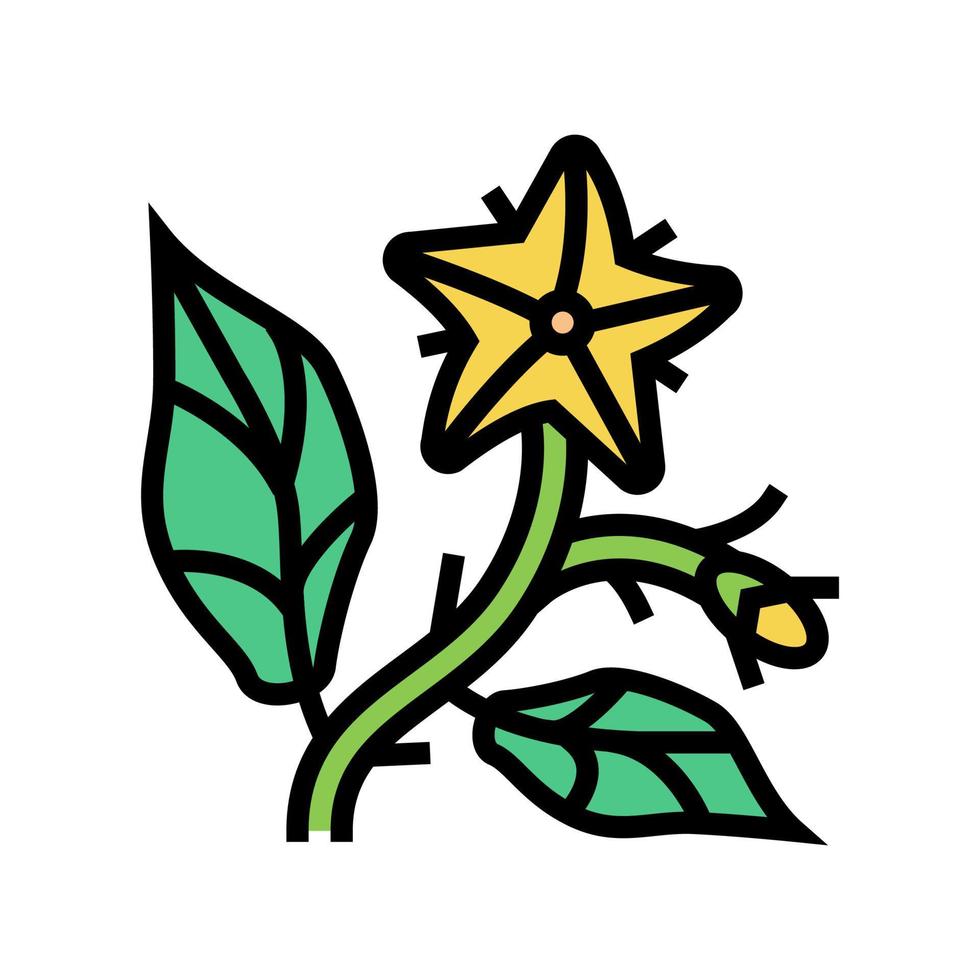 icône de couleur de fleur de tomate illustration vectorielle vecteur