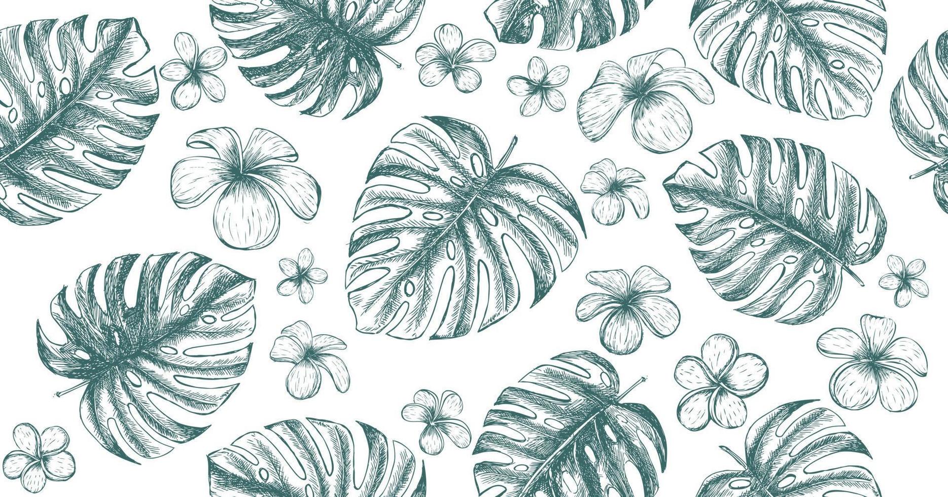 motif de feuilles tropicales. illustration dessinée à la main. vecteur