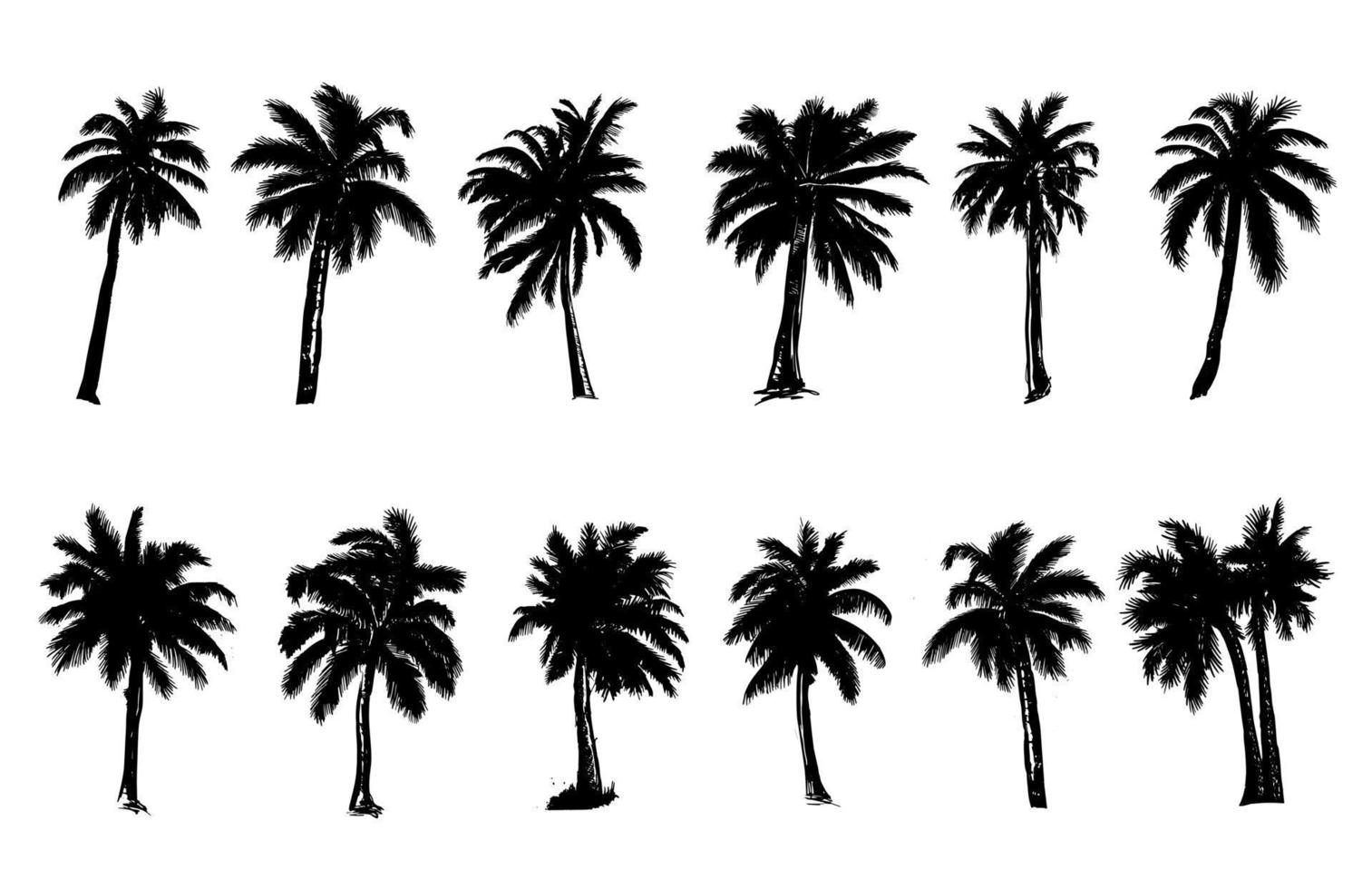 bonjour l'été, illustrations dessinées à la main de palmier, vecteur