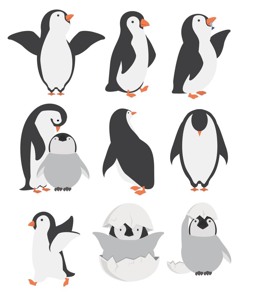 joyeux pingouin et poussins personnages dans différentes poses vecteur