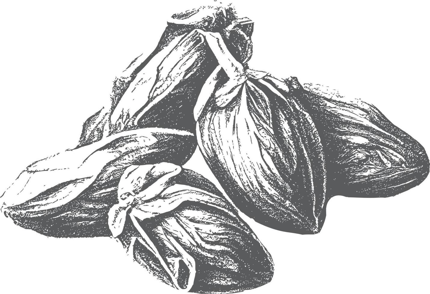 dates dessinées à l'encre avec des feuilles. des fruits mûrs pendent aux branches. vecteur