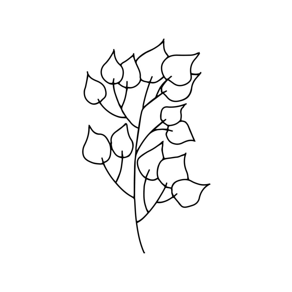 brin avec vecteur de doodle de feuilles. branche dessinée à la main