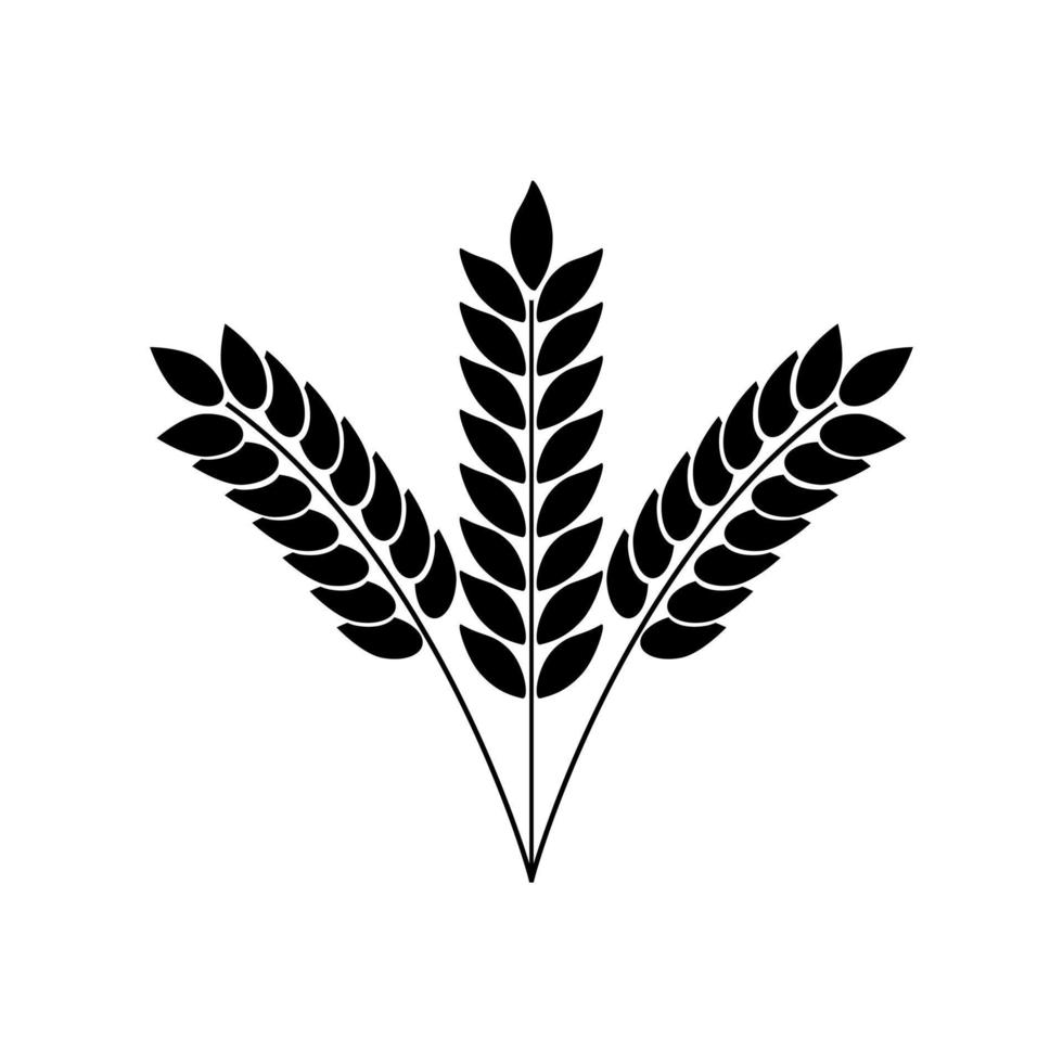 vecteur d'icône de blé. signe d'illustration de céréales. symbole de récolte. logo de la ferme.