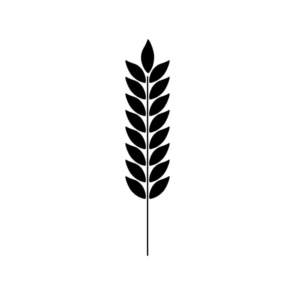 vecteur d'icône de blé. signe d'illustration de céréales. symbole de récolte. logo de la ferme.