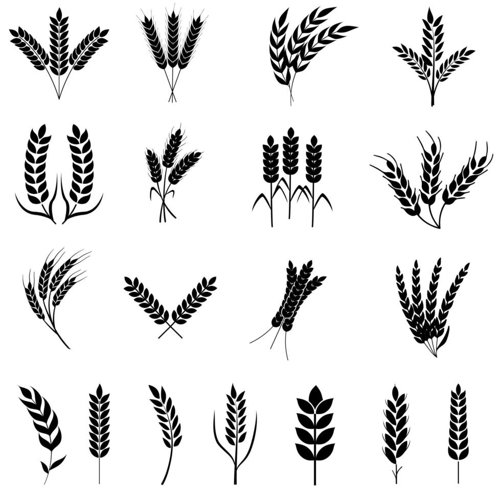 ensemble de vecteurs d'icônes de blé. collection de signes d'illustration de céréales. symbole de récolte. logo de la ferme. vecteur