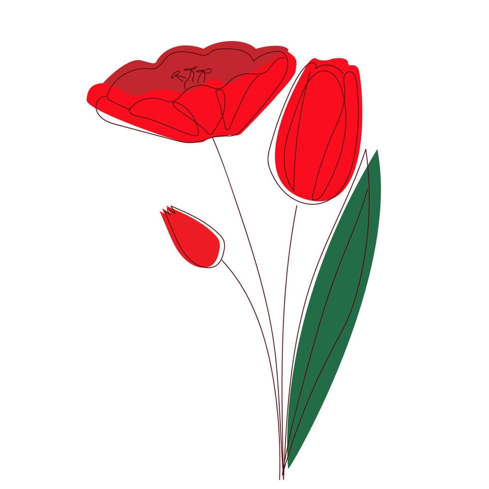 fleurs de tulipes rouges vectorielles avec silhouette décrite isolée sur fond blanc. conception de logo, carte de visite, flyer. vecteur