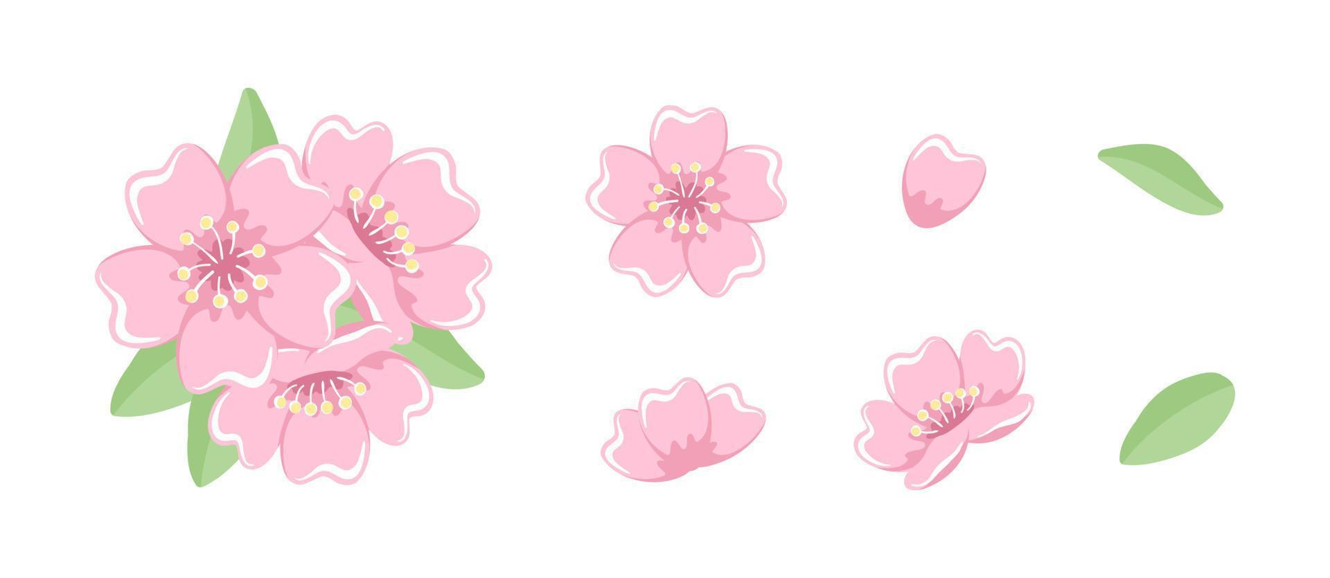 un ensemble d'illustrations de floraison de fleurs de cerisier. éléments de conception de clipart floral vecteur