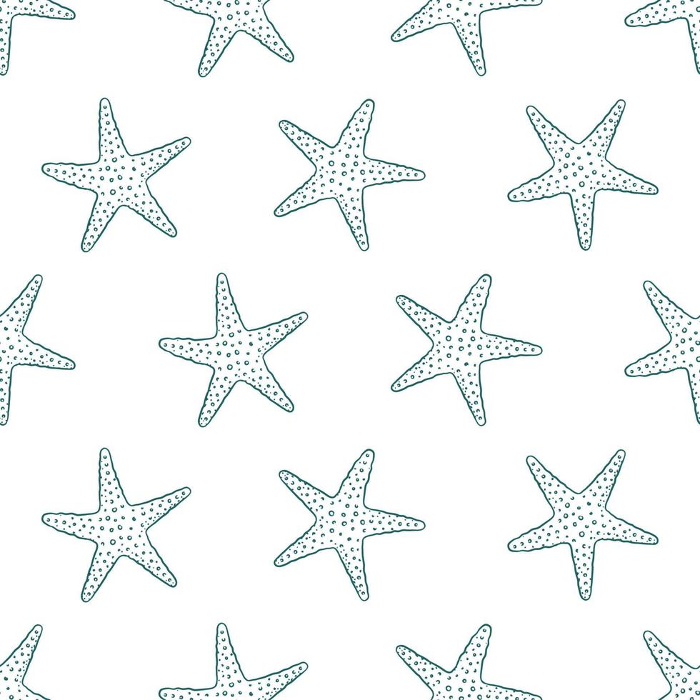 étoile de mer doodle illustration vectorielle de fond transparente motif. fonds d'écran de la vie marine aquatique vecteur