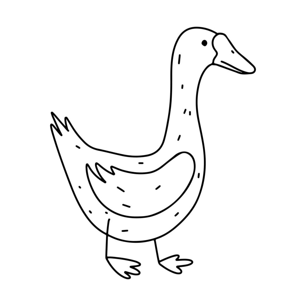 volaille d'oie dans un style doodle dessiné à la main. oiseau domestique mignon. illustration vectorielle isolée sur fond blanc. vecteur