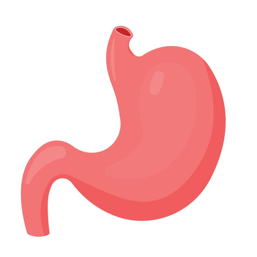 icône de l'estomac pour l'illustration vectorielle du symbole de l'organe de l'anatomie humaine vecteur
