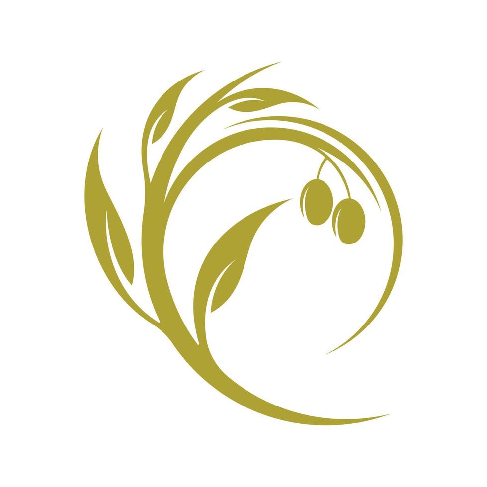 modèle de logo olive vecteur