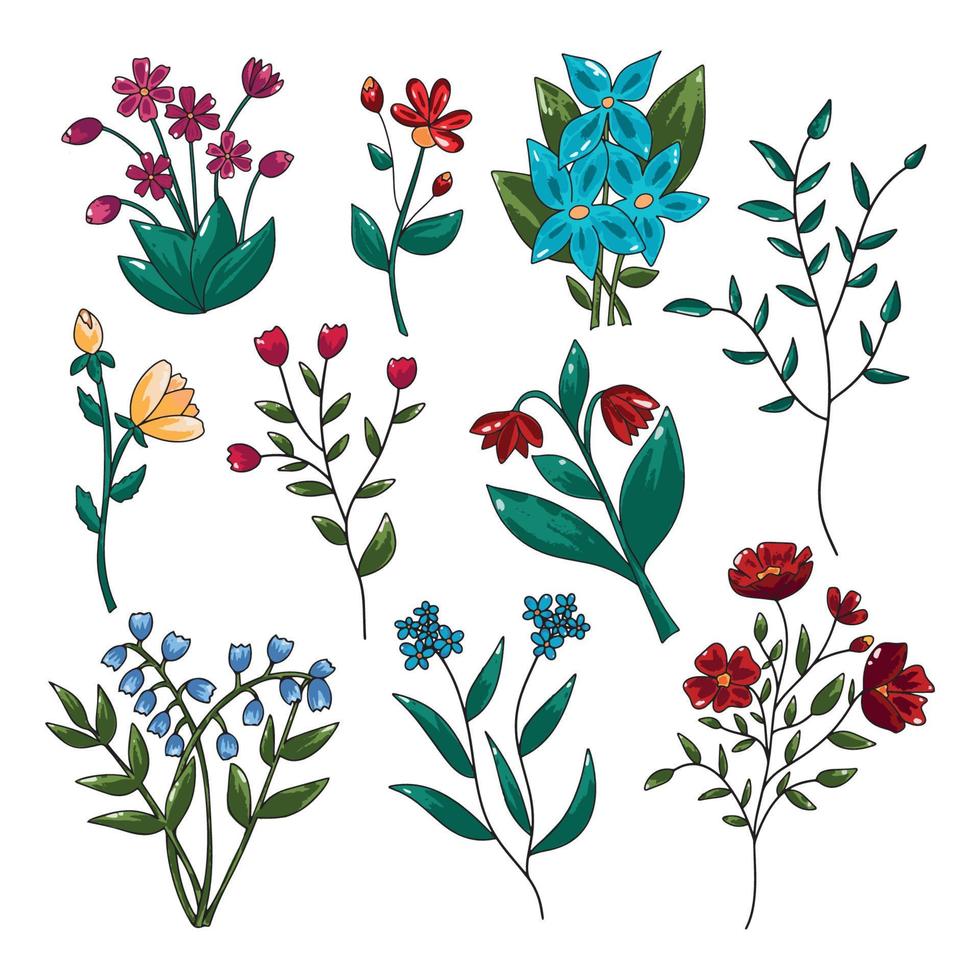 grand ensemble d'arrière-plans floraux décorés d'une magnifique palette de couleurs juteuses lumineuses multicolores fleurs épanouies plantes printemps été illustration vectorielle botanique isolée sur fond blanc vecteur