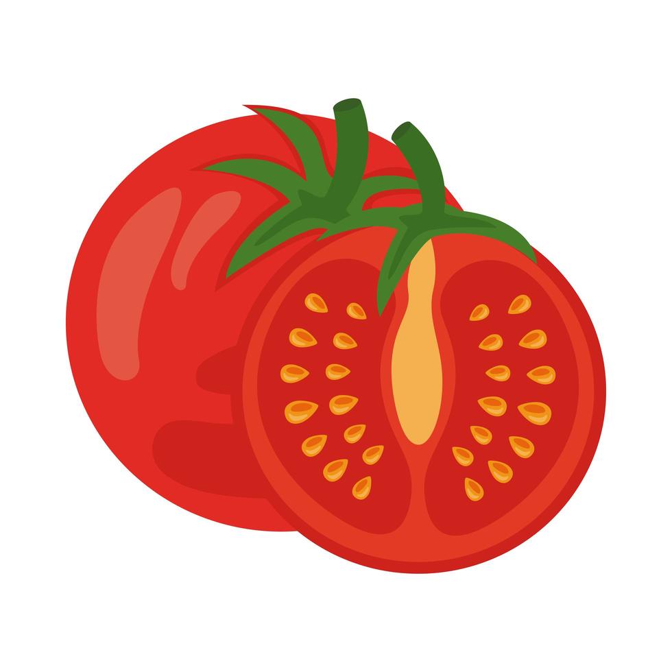 icône de nourriture saine légume tomate fraîche vecteur