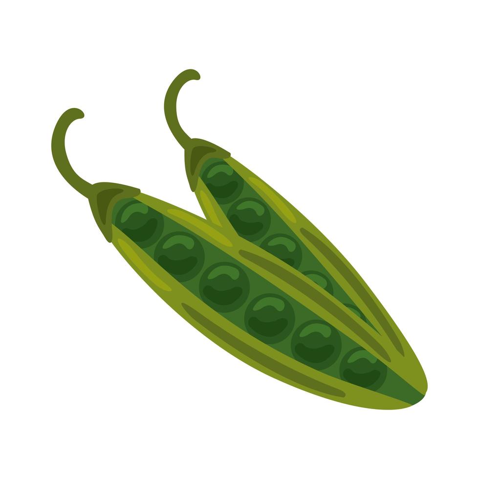 icône de nourriture saine légume haricots frais vecteur