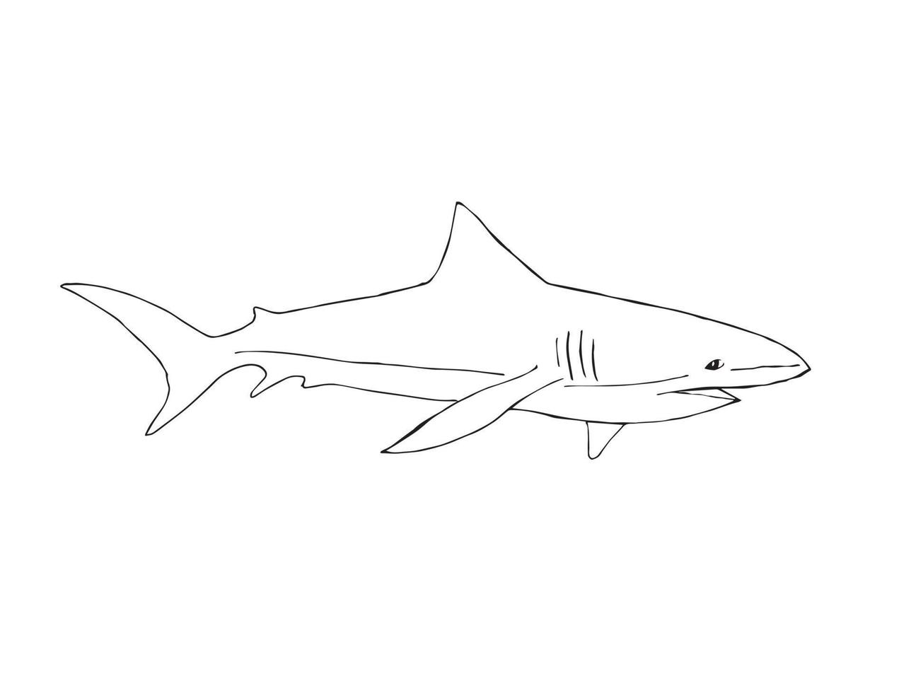 croquis de doodle dessinés à la main de vecteur requin noir