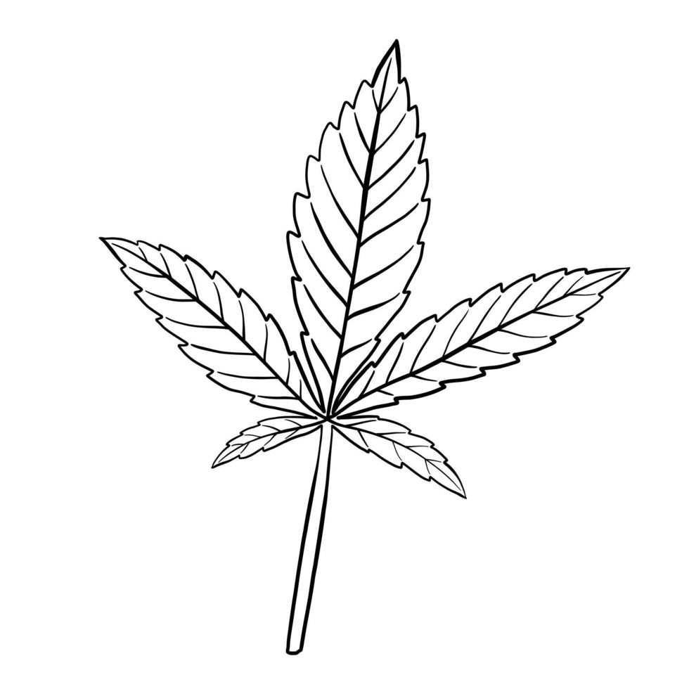 conception plate de dessin à main levée de feuille de cannabis de simplicité. vecteur