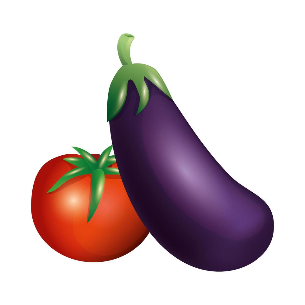 conception de vecteur aubergine et tomate isolé