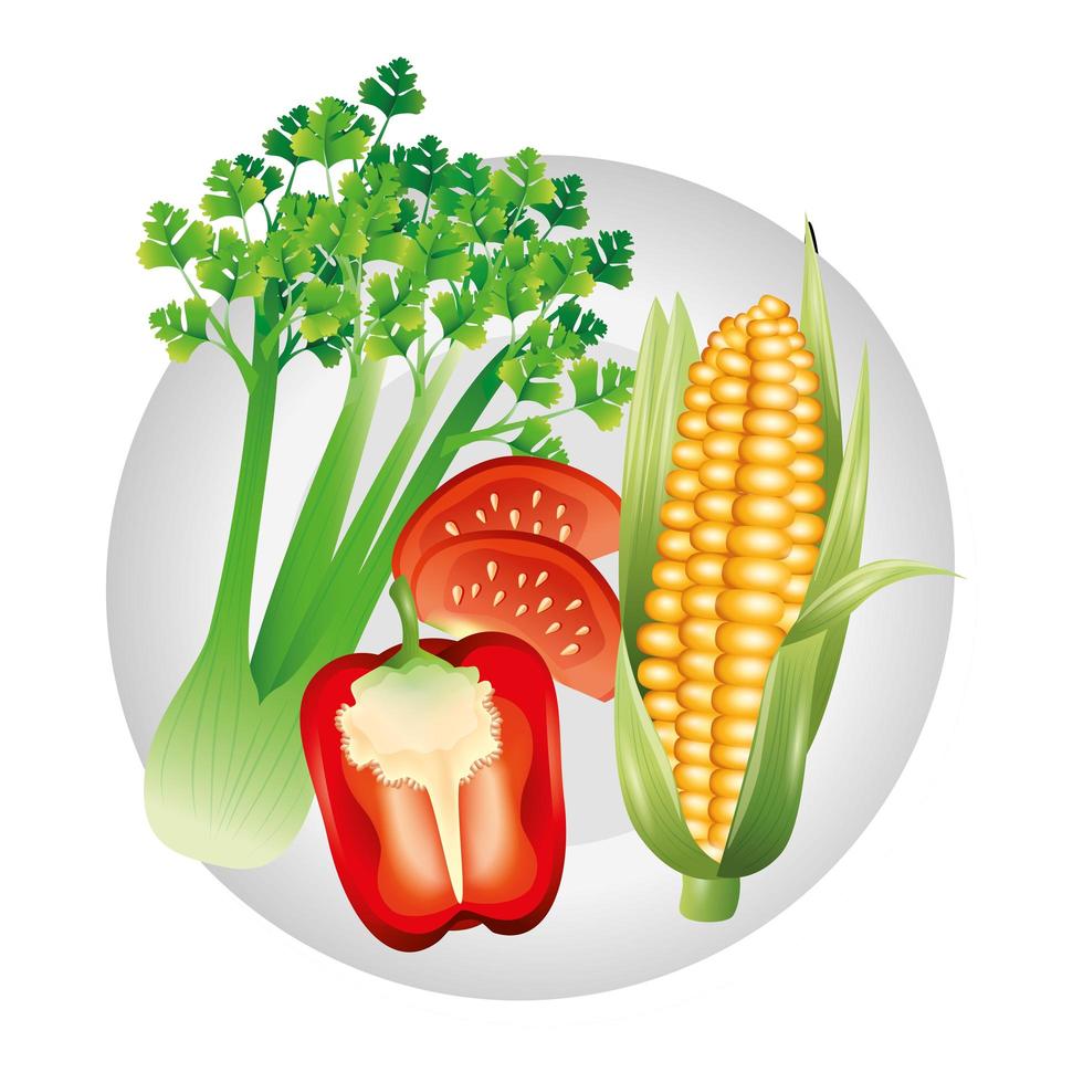 tomate céleri poivron et maïs conception de vecteur de légumes