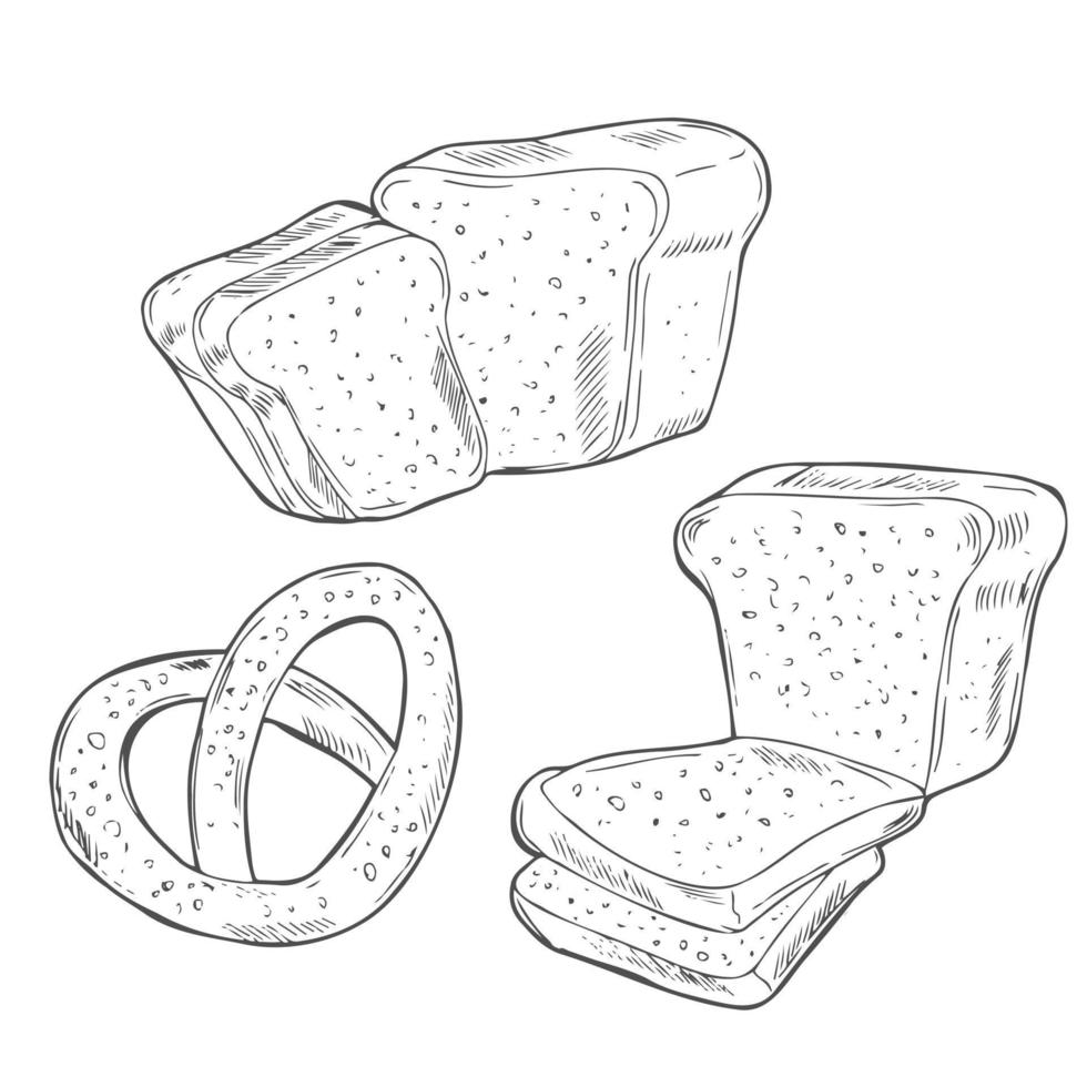 boulangerie de pain décoratif dessiné à la main. illustration vectorielle. vecteur