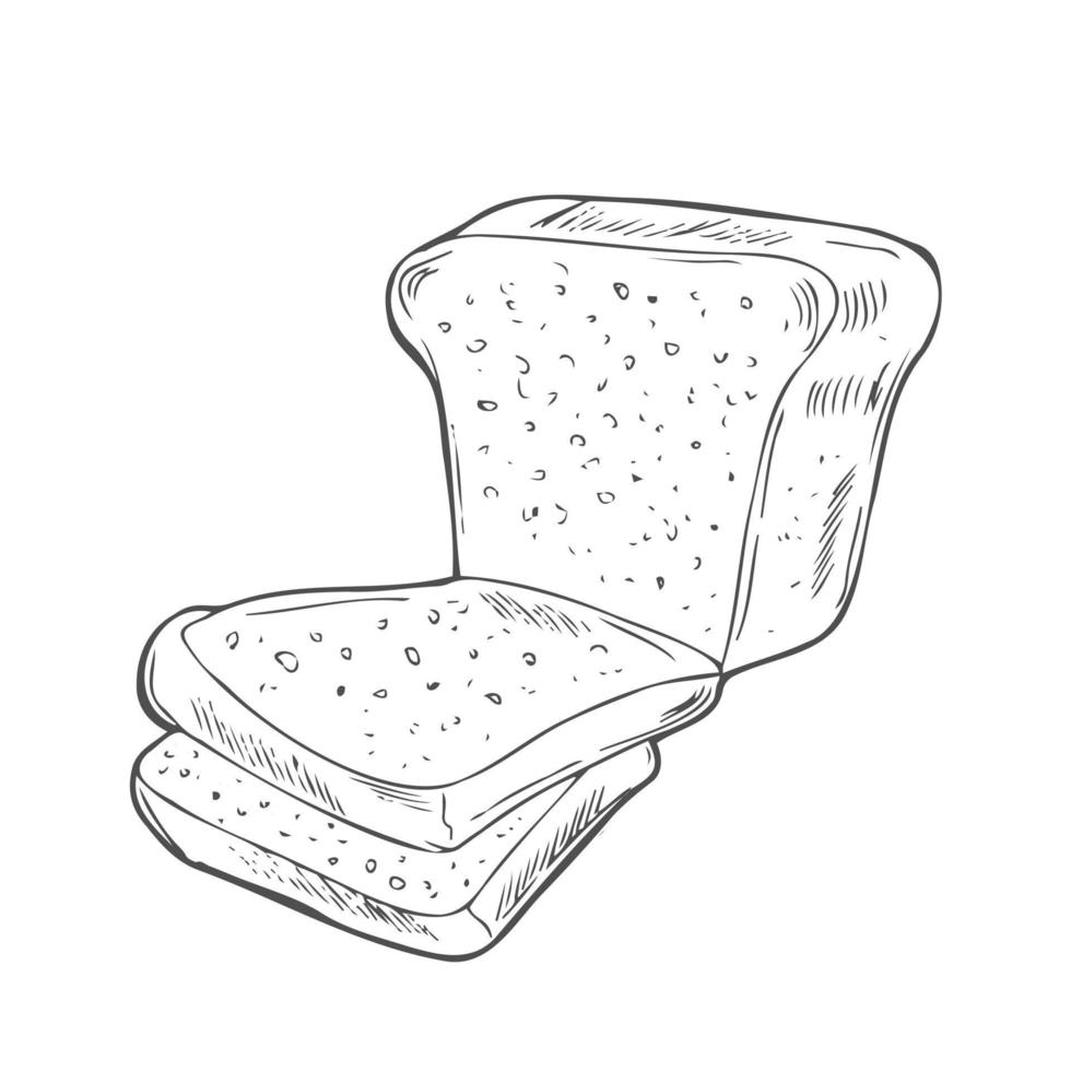 croquis de tranches de pain grillé. gravure de pain dans un style dessiné à la main vecteur