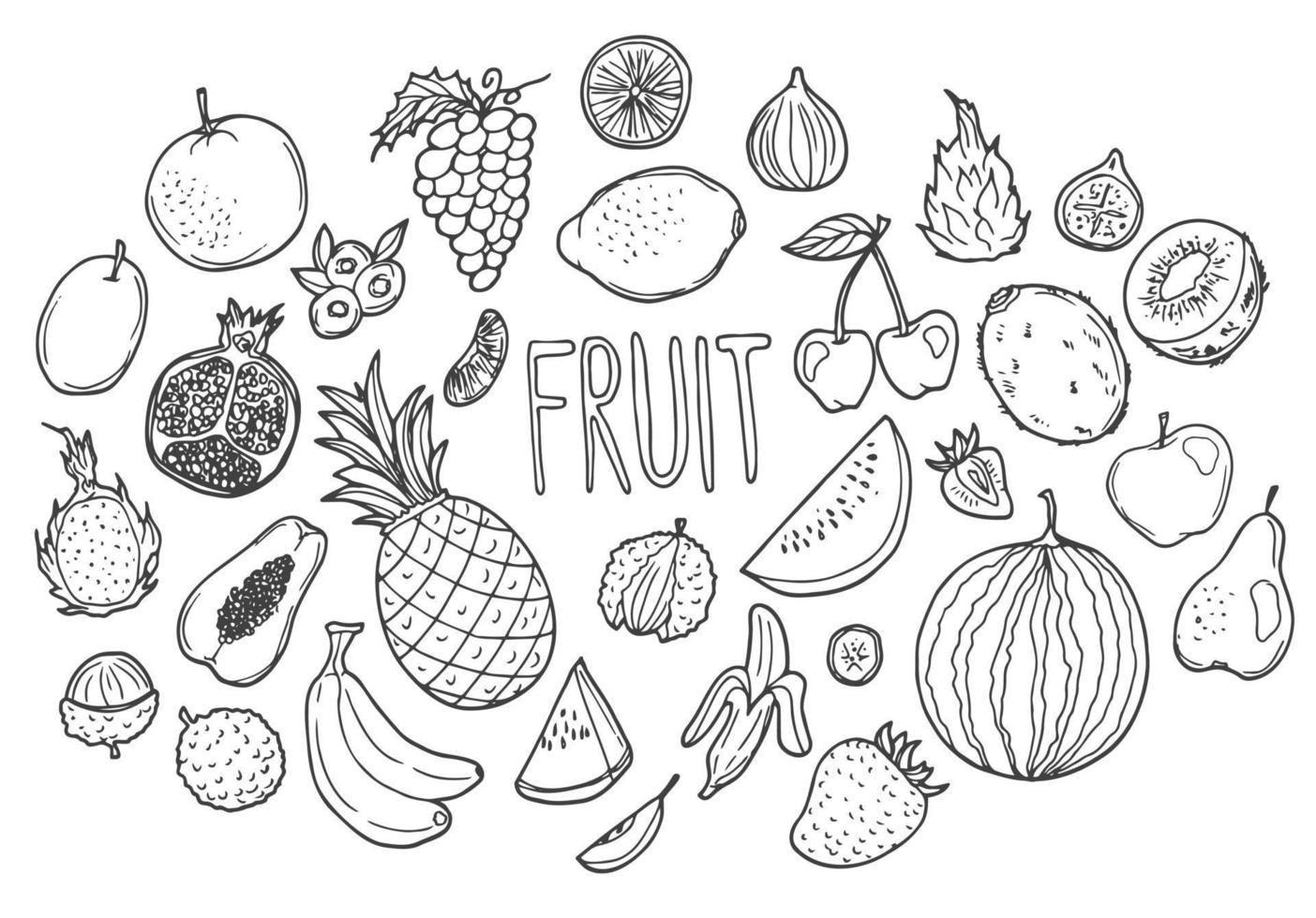 fruits doodle icône fait à la main. clip art croquis illustration vectorielle. notion de nourriture fraîche vecteur