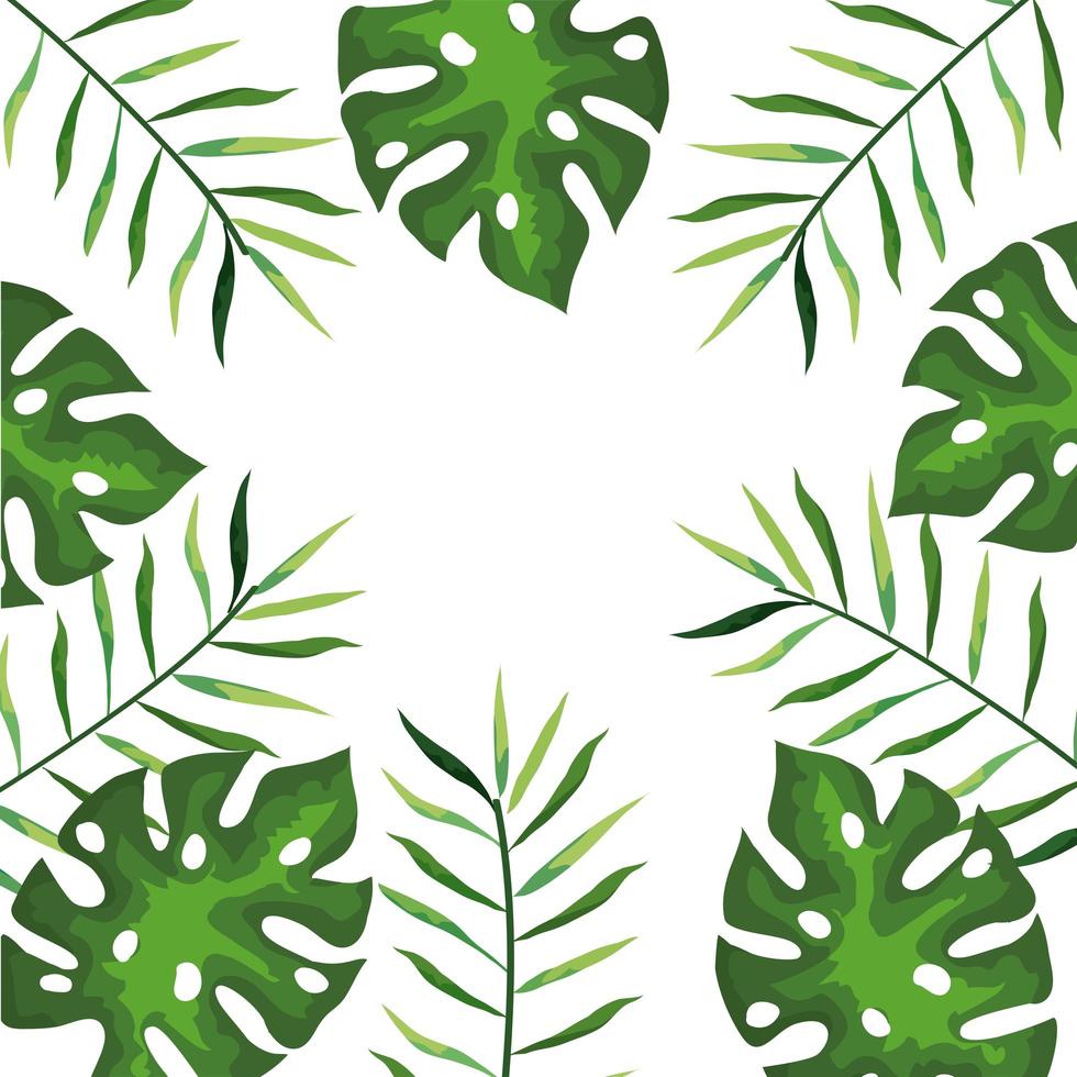 cadre de branches avec des feuilles tropicales, concept de nature vecteur